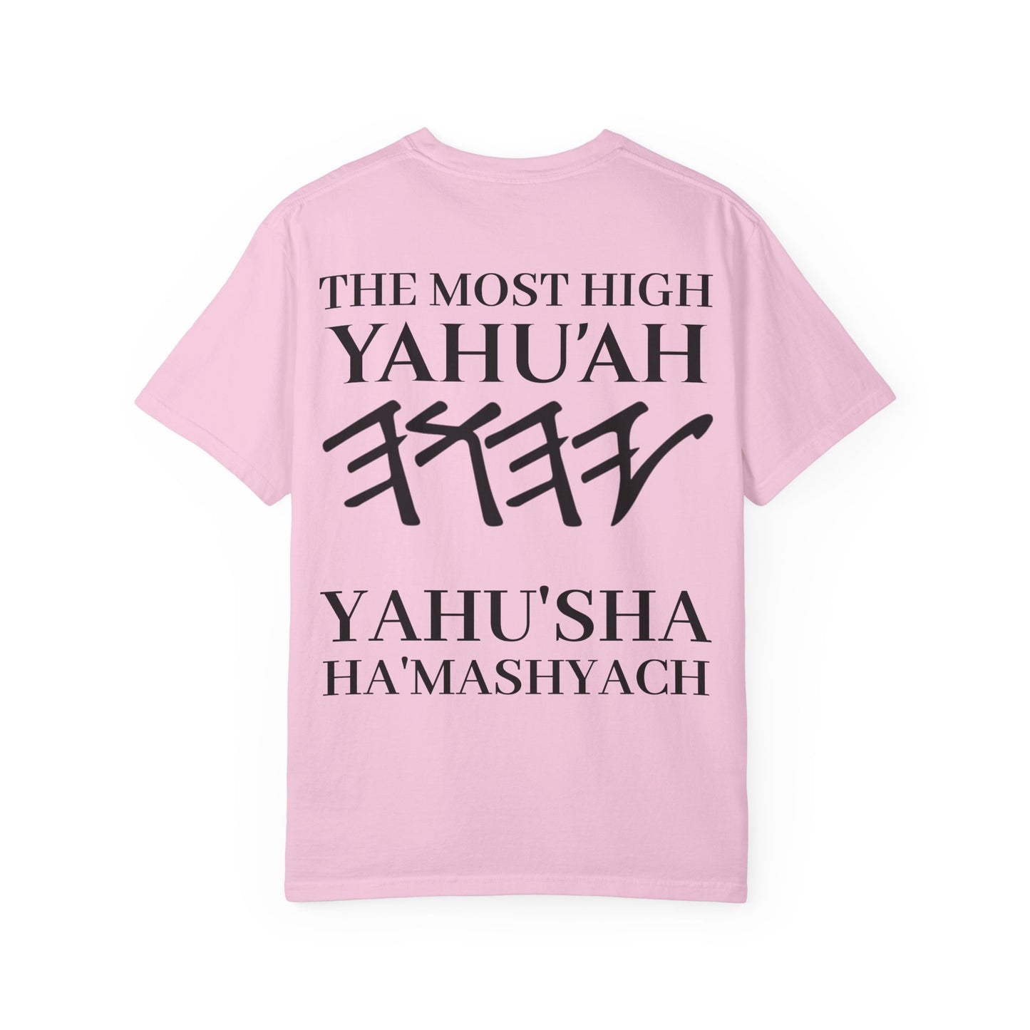 Yahuchanon-John 15:5 T-Shirt