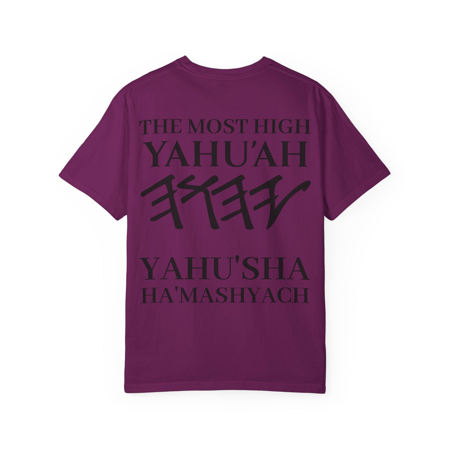 Yahuchanon-John 15:5 T-Shirt