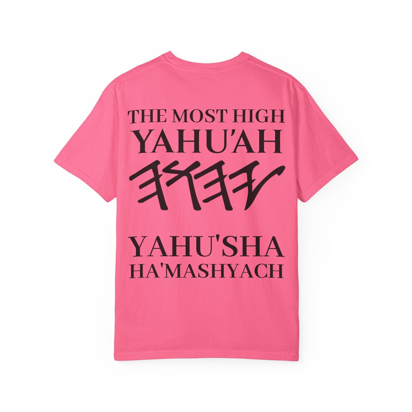 Yahuchanon-John 15:5 T-Shirt